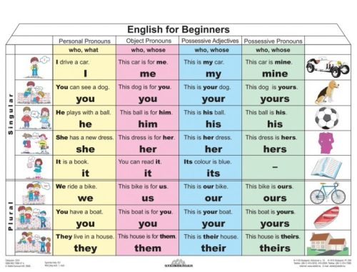 English for Beginners  -planșă de perete
