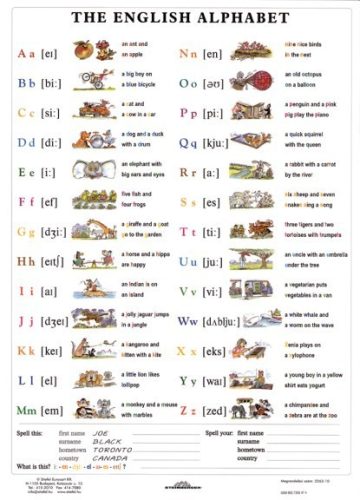 The English Alphabet - planșă de perete
